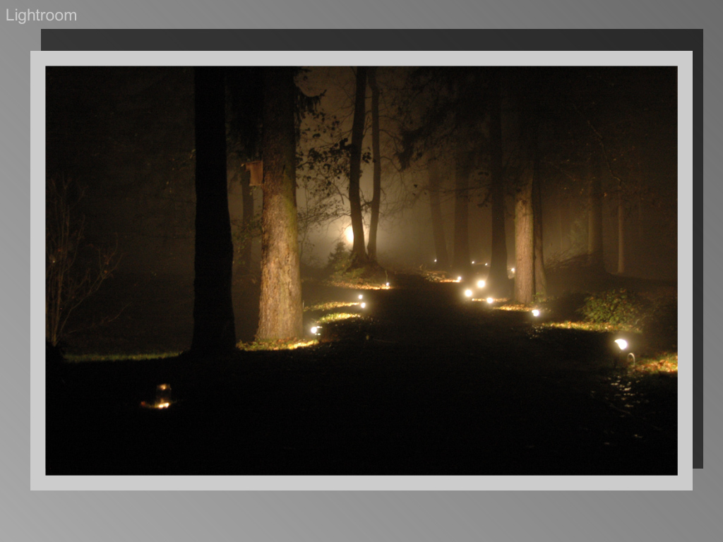 path-1
